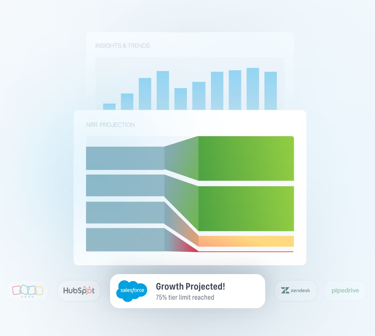 Maximize NRR With Insights