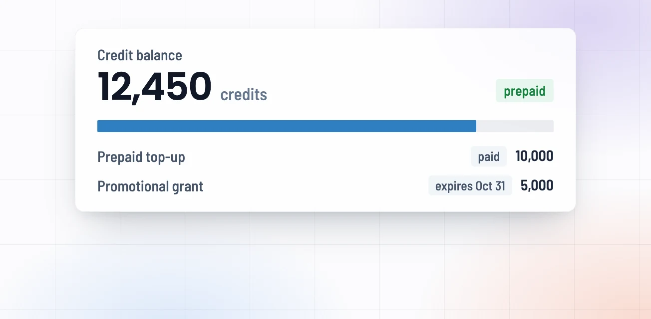 Prepaid Credits and Balances