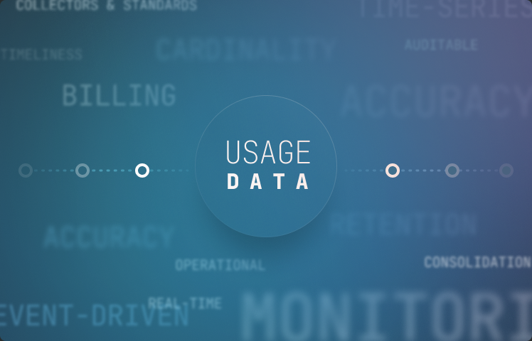 Usage Data: Auditable or Operational
