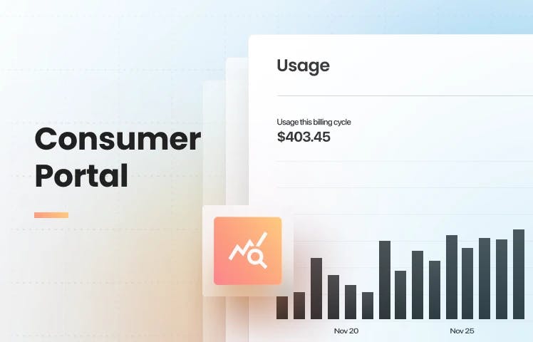 Consumer Portal To Build Usage Dashboards