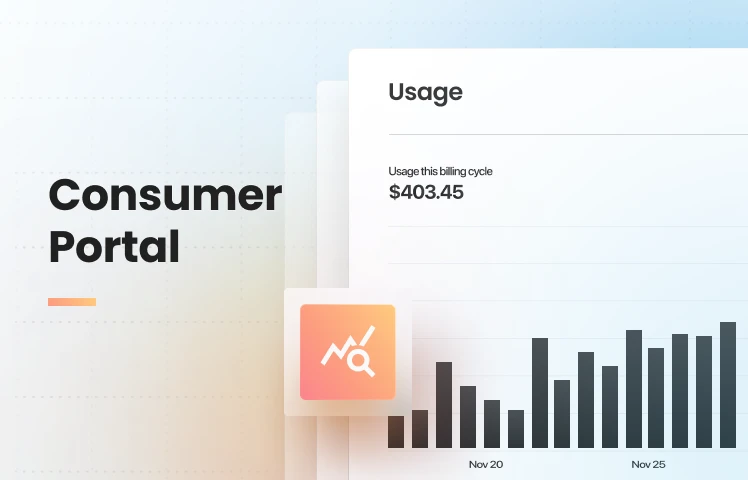 Consumer Portal To Build Usage Dashboards | OpenMeter